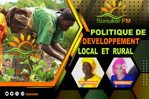 Politique de developpement local et rural